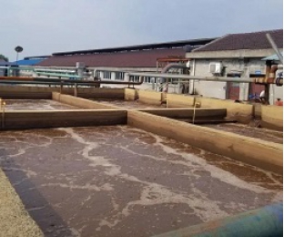 出水氨氮大于進水氨氮，怎么回事？