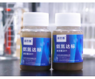 生化系統(tǒng)崩潰，氨氮超標(biāo)，我該怎么辦?