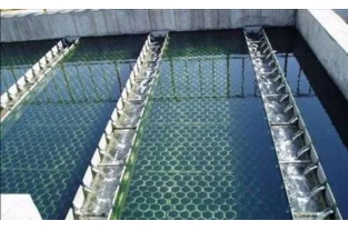 【干貨】生物濾池為什么一受沖擊氨氮去除率就會下降？