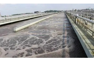 【重要】水中溶解氧越高，處理效果越好么？