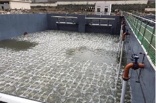 碳源的價格水漲船高，污水廠如何減少碳源投加量來降低成本？