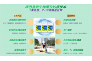 春節(jié)復(fù)工，生化系統(tǒng)快速修復(fù)，確保污水達(dá)標(biāo)排放