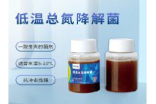 反硝化細菌在污水處理中的具體應(yīng)用是什么？
